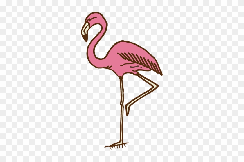 Flamingo - Flamingo #1138534