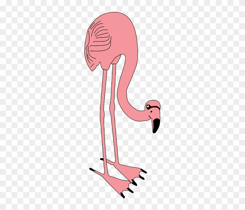 Flamingos - Custom Pink Flamingo Sticker #1138535