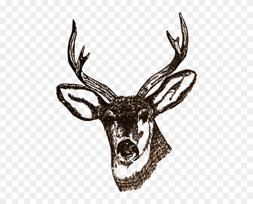 Deer Svg Clip Arts 468 X 598 Px - Free Images Of Deer #1138581