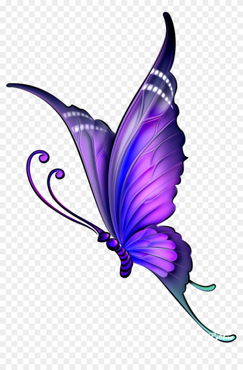 Butterfly Drawing Color Clip Art - Butterfly Image Drawing With Color