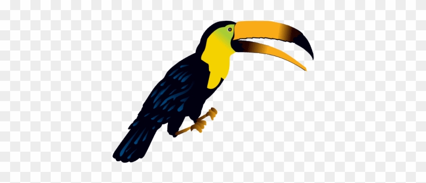 jungle parrot clipart