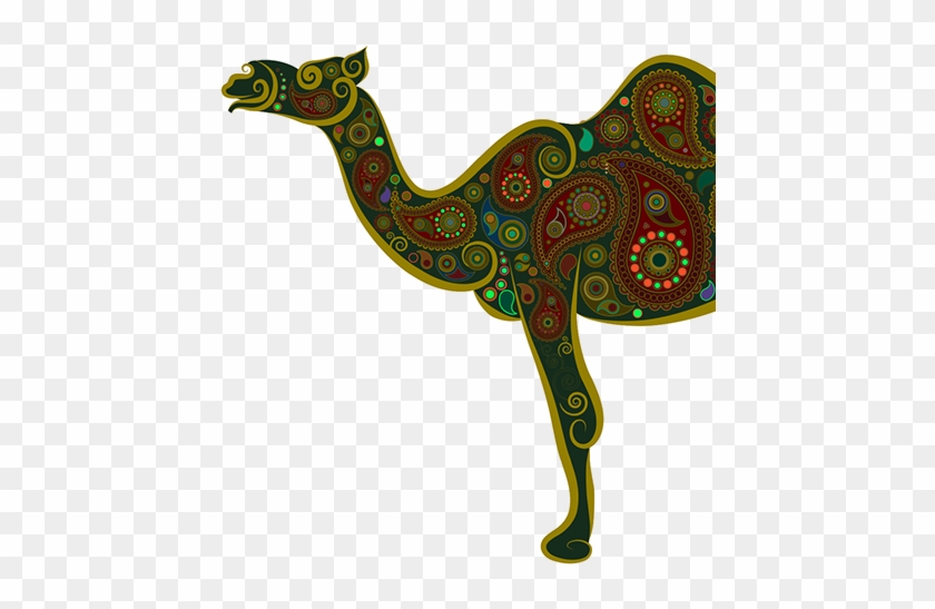 Past Event - Arabian Camel #1139216