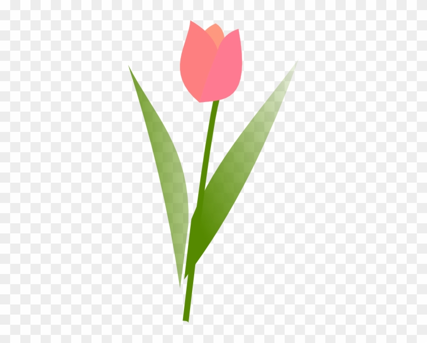 Tulip Clip Art - Clip Art #1139666