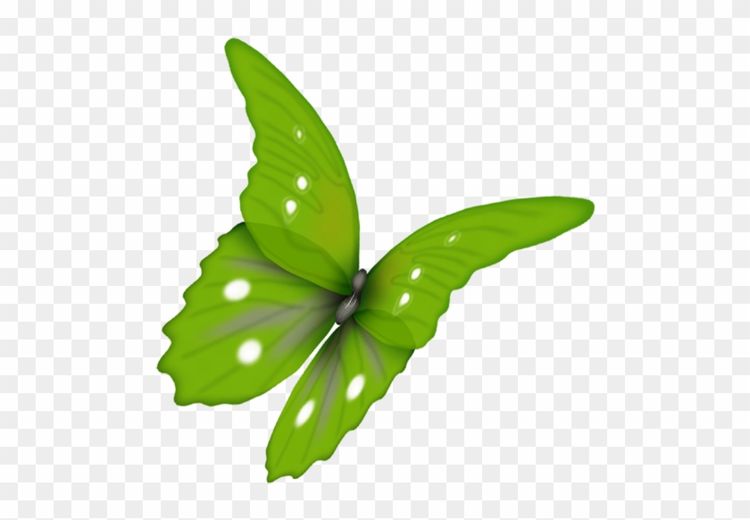 Papillons - Page - Papillon Vert Png #1139704