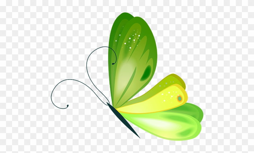 Blog De L'ile De Kahlan - Butterfly #1139729