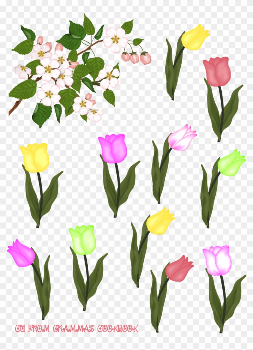 Download Here - Tulip #1139734