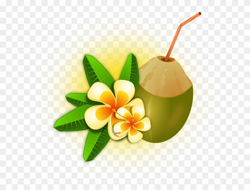 Tropical Clipart #1139781