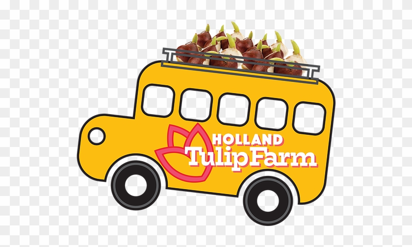 Tulip Bulbs For Your School - Bulb #1139789