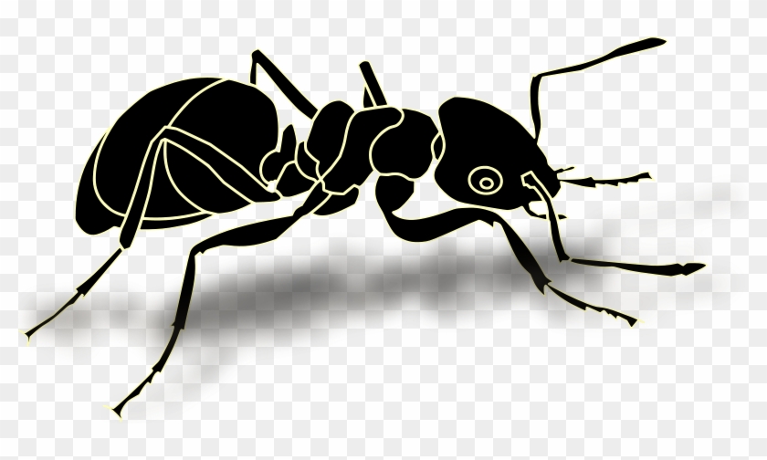 Similar Clip Art - Transparent Ant #1139840