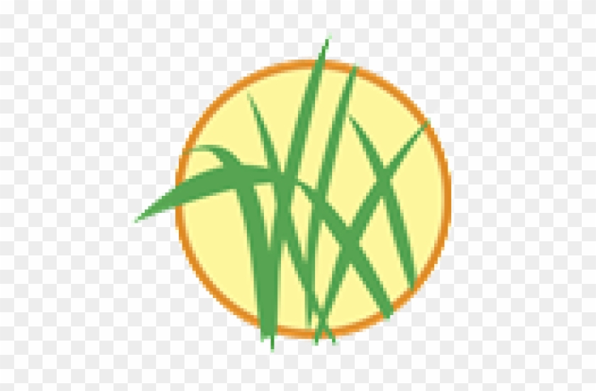 Dobson & Company - Grass #1139843