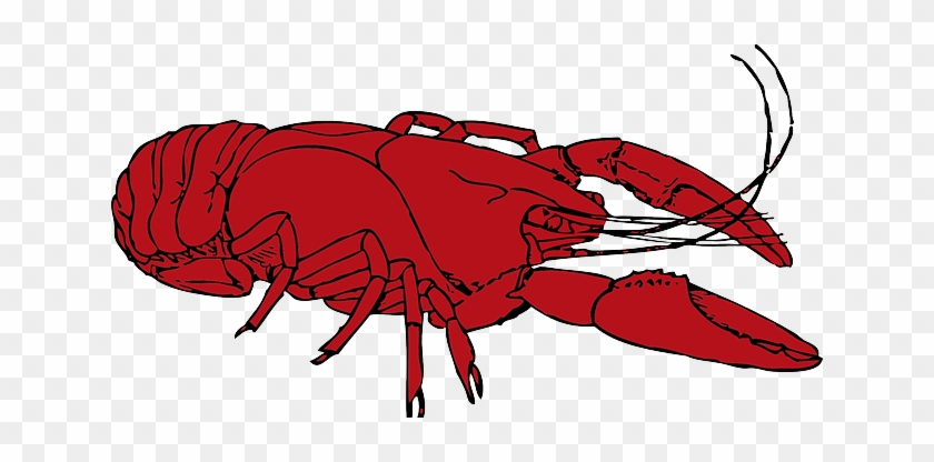 Crustacean Cartoon Stock Photos Crustacean Cartoon - Crayfish Clipart #1139949