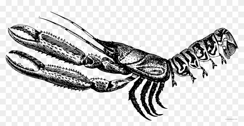 Black And White Lobster Animal Free Black White Clipart - Lobster #1139968