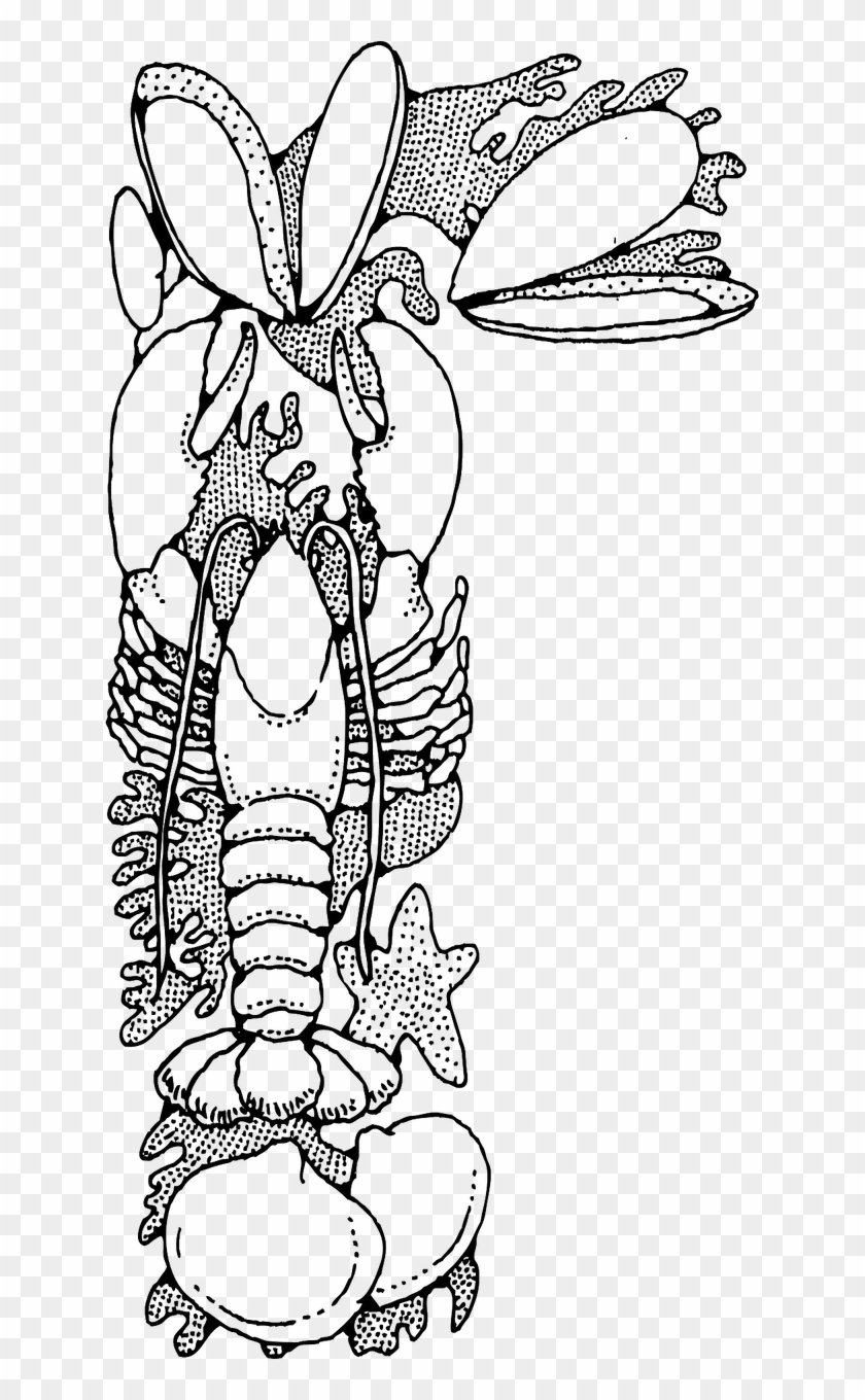 Shellfish Lobster Clams Oysters Png Image - Seafood Clip Art #1139973