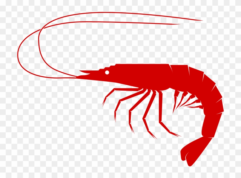Crustacean Clipart Shrimp - Sea Food Clip Art #1139981