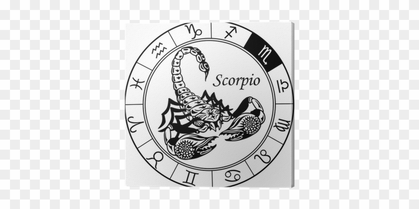 Zodiac Scorpion Drawing #1139987