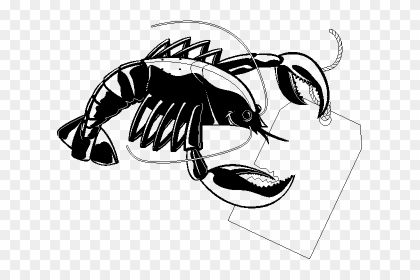 Our Fresh Water Prawns & Lobsters For Supply - Illustration #1140003