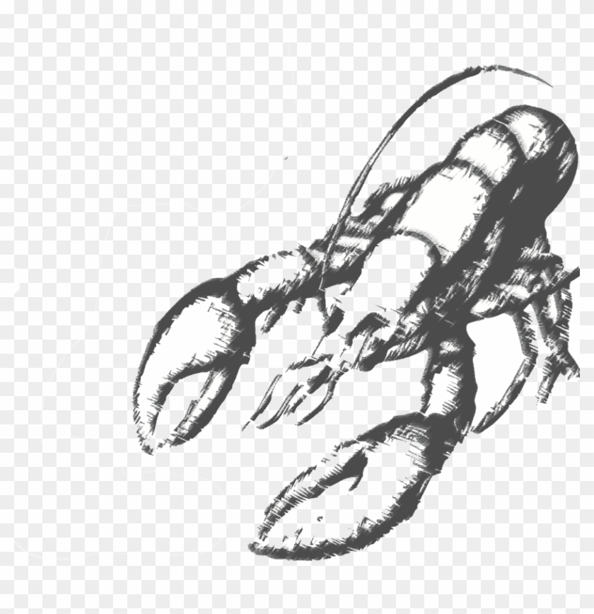 Lobster - Lobster #1140013