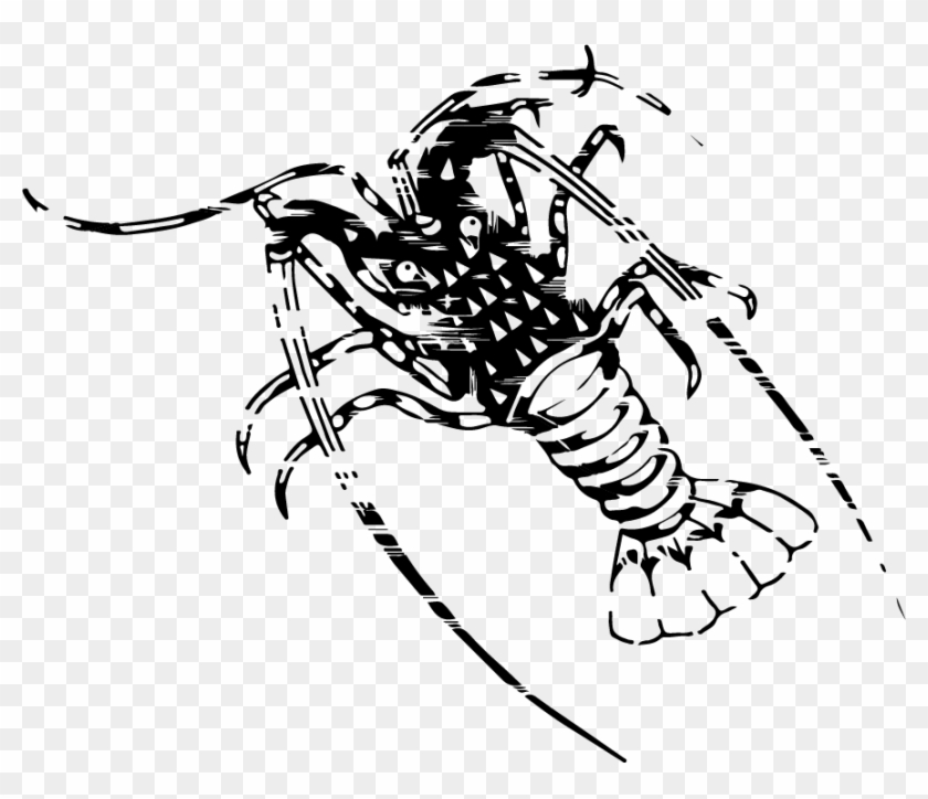 Corporate Icon Jpg File Kaiar Tropical Rock Lobster - Spiny Lobster #1140067
