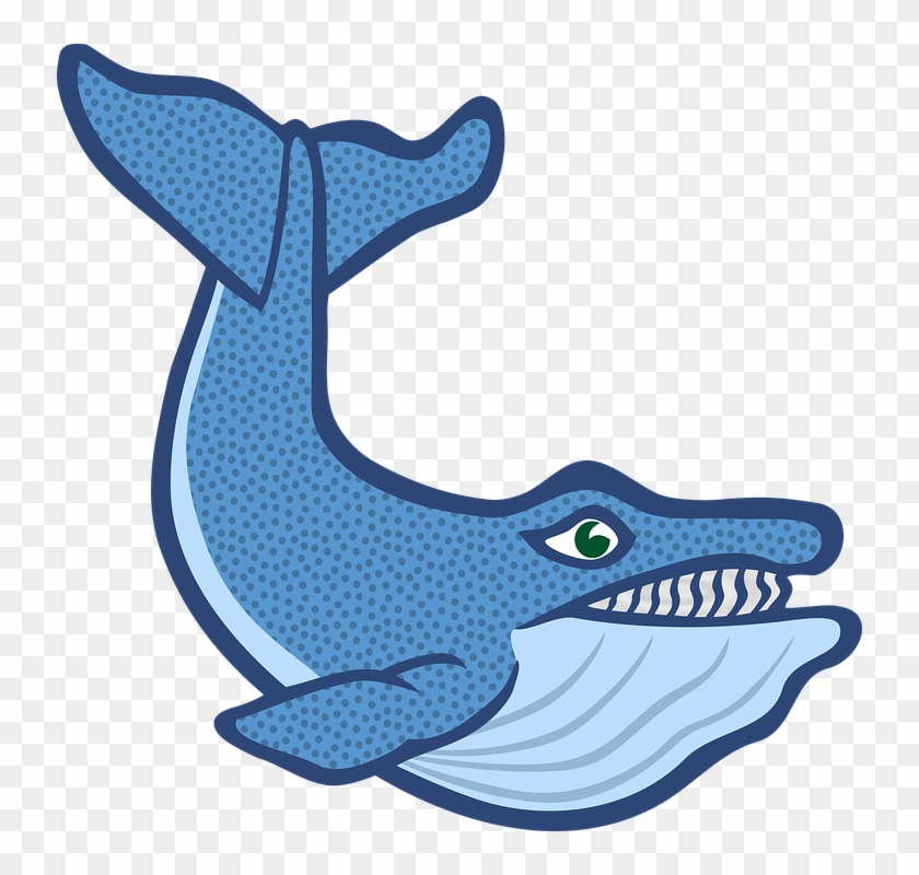 Only Buy Steadfast, Deliberate Voting Can A Minnow - Colored Whale #1140098