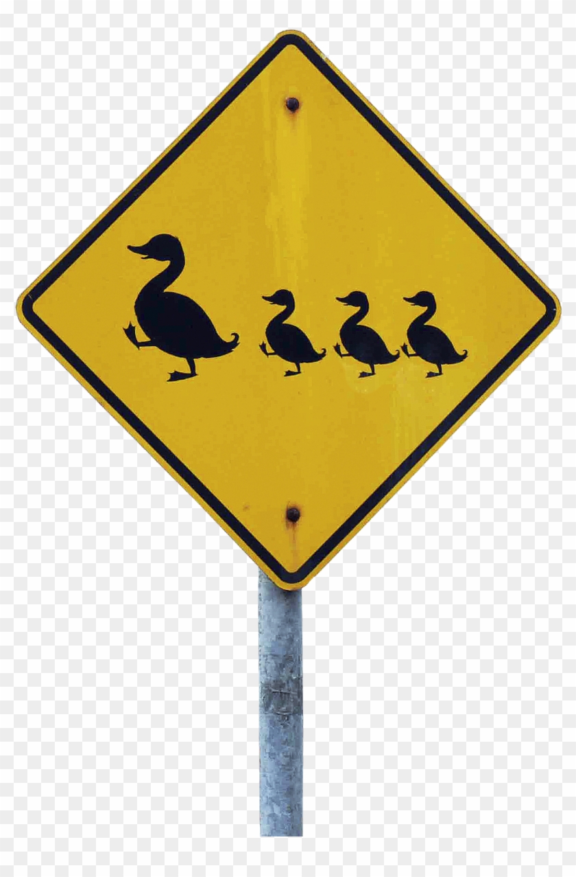 Crossing The Road On The Zebra Crossing Were A Duck - Kangaroo Road Sign #1140298