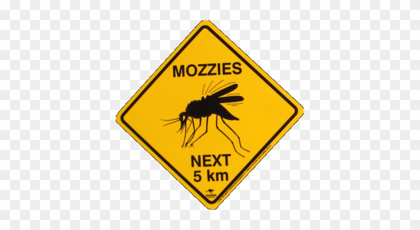 Australian Animal Road Signs, Australian Animal Traffic - Road Sign #1140485