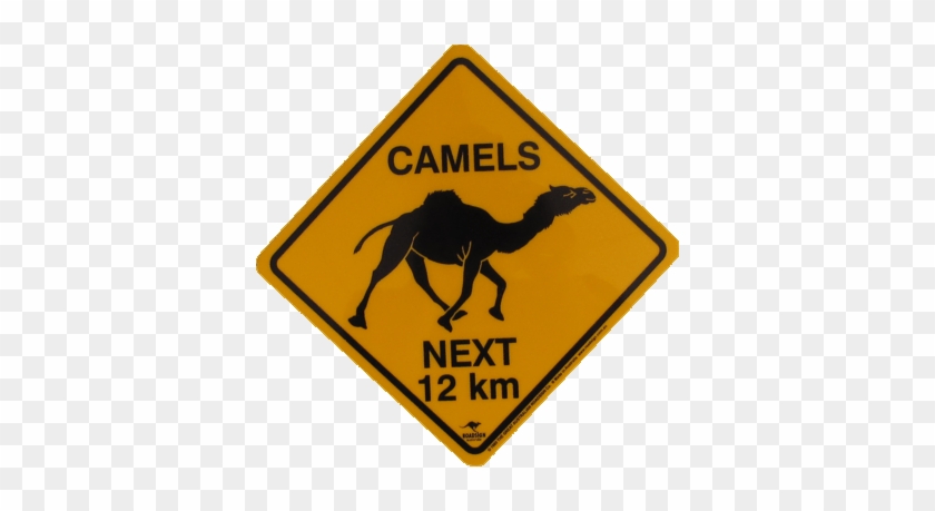 Australian Road Signs Animals #1140486