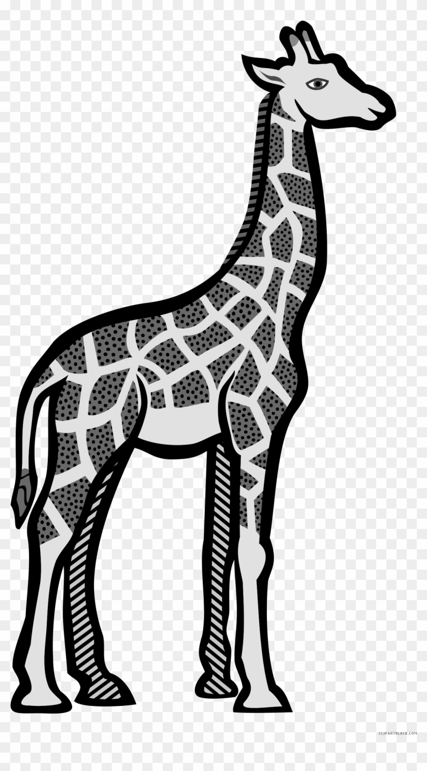 Giraffe Animal Free Black White Clipart Images Clipartblack - Carnival Of The Animals #1140501