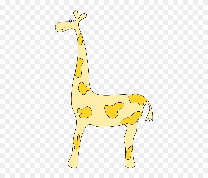 Yellow Giraffe, Animal, Africa, Mammal, Yellow - Giraffe #1140502