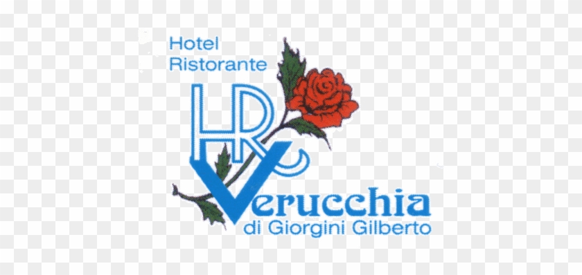 Zocca Provincia Di Modena - Pinocchio [book] #1140839