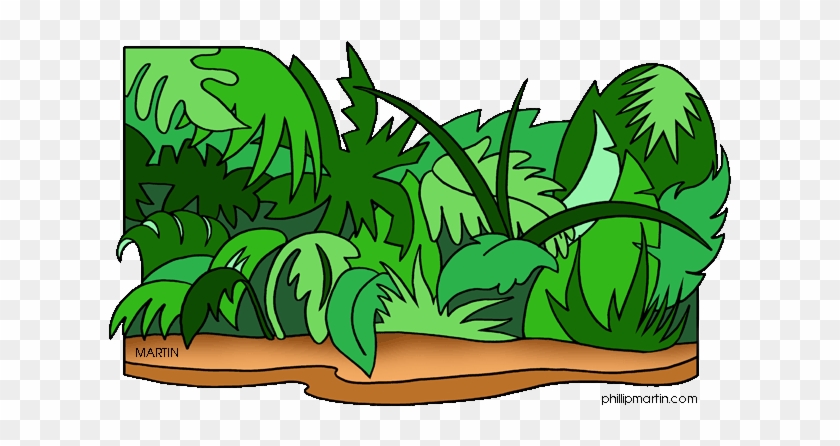 Jungle Clip Art - Jungle Clipart #1140980