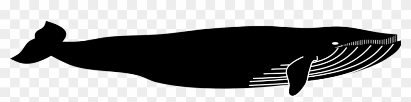 Black Whale Shower Curtain #1141140