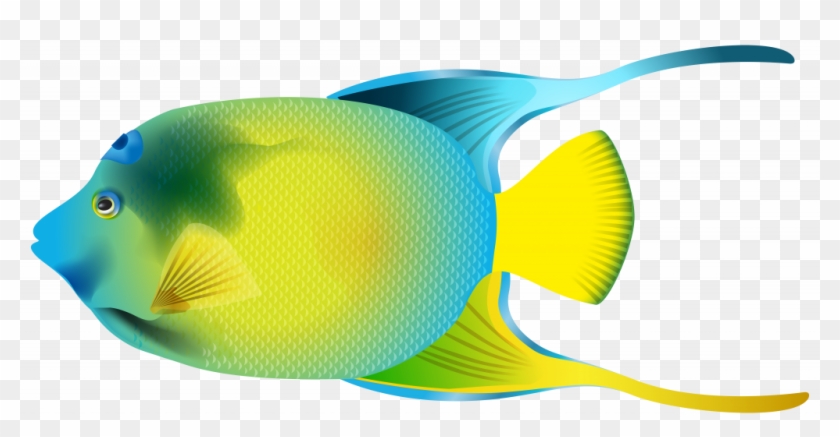 Gallery Image Of Confidential Fish Clip Art For Kids - Angelfish Clipart #1141179