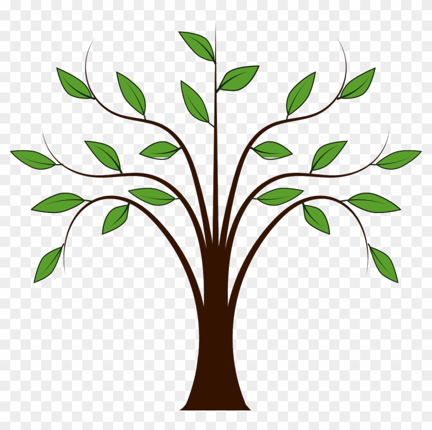 Forest Leaves Nature Plant Png Image Cartoon Tree With Branches Free Transparent Png Clipart Images Download