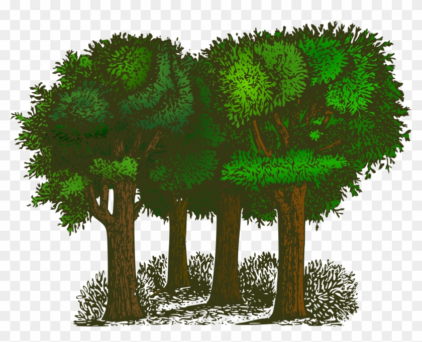 Green Gray Forest Clip Art - Trees Of Pride By G. K. Chesterton #1141399