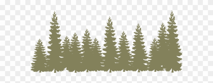 Forest Clipart Forrest - Pine Trees Clipart #1141409