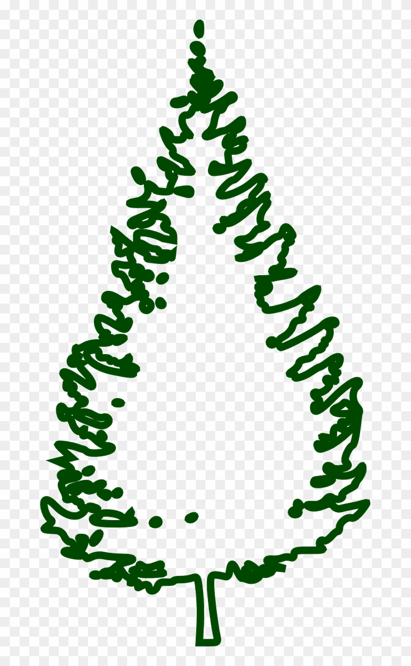Fir Tree Conifer Tree Forest Png Image - Fir Tree Outline #1141411