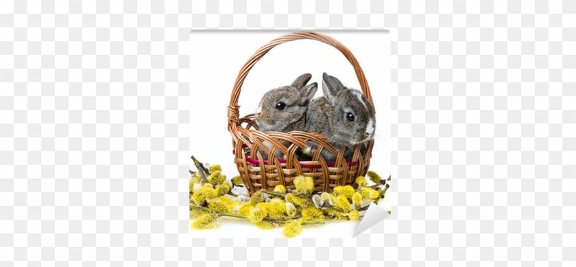 Fotomural Dos Pequeños Conejos En Una Cesta Y La Rama - Rabbit #1141719