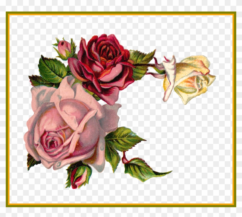 Best Antique Digital Flower Pink Rose Corner Design - Corner Vintage Roses #1141912