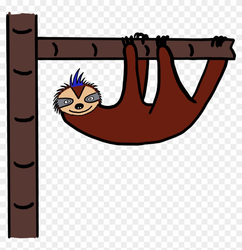 This Is Bosco, A Three-toed Sloth - Three-toed Sloth #1142019