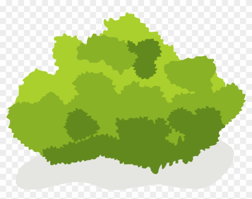 Bush - Shrub Clipart Png #1142996