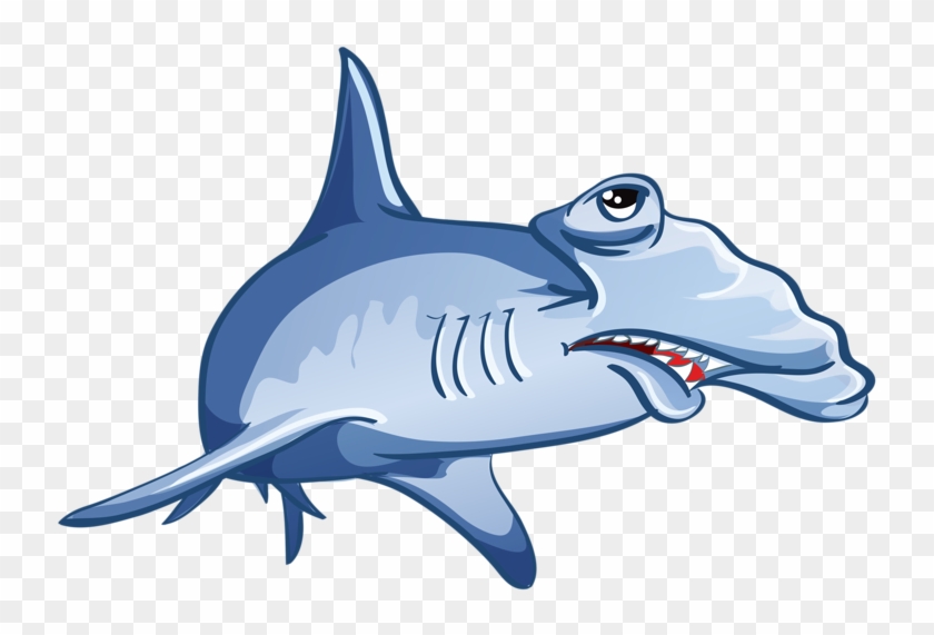 Shark Jaws Drawing - Shark #1143005