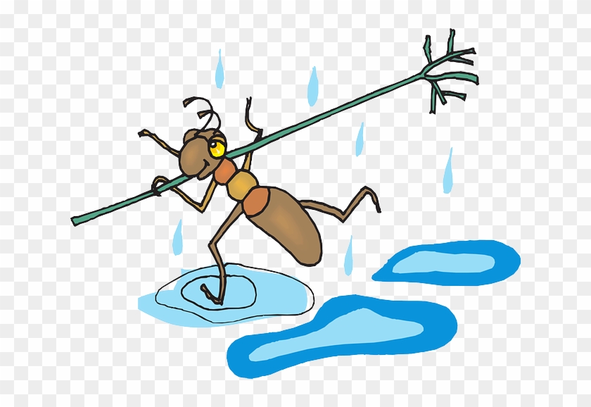Stick, Safety, Cartoon, Danger, Ant, Rain, Running - Stick, Safety, Cartoon, Danger, Ant, Rain, Running #1143008