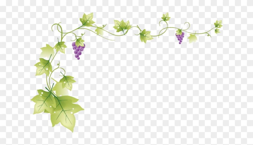 I Took A Video Of The Scene - Clear Background Grape Clipart #1143404