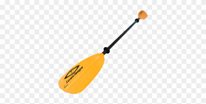 Check It Out - Kayak #1143420