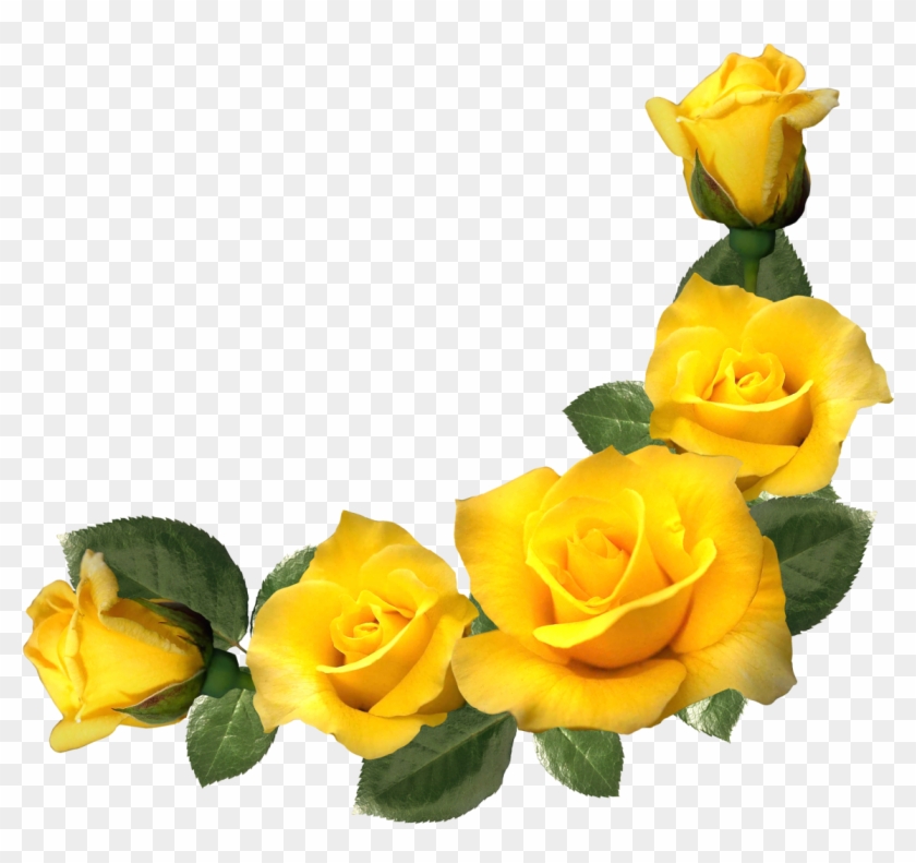 Picture Frames Yellow Rose Flower Clip Art - Yellow Rose Transparent Background #1143736