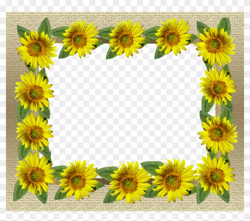 Frame, Gold, Sunflower Border, Card - Common Sunflower #1143745