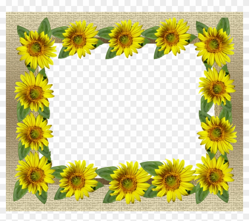 24+ Transparent Background Sunflower Border Png Images