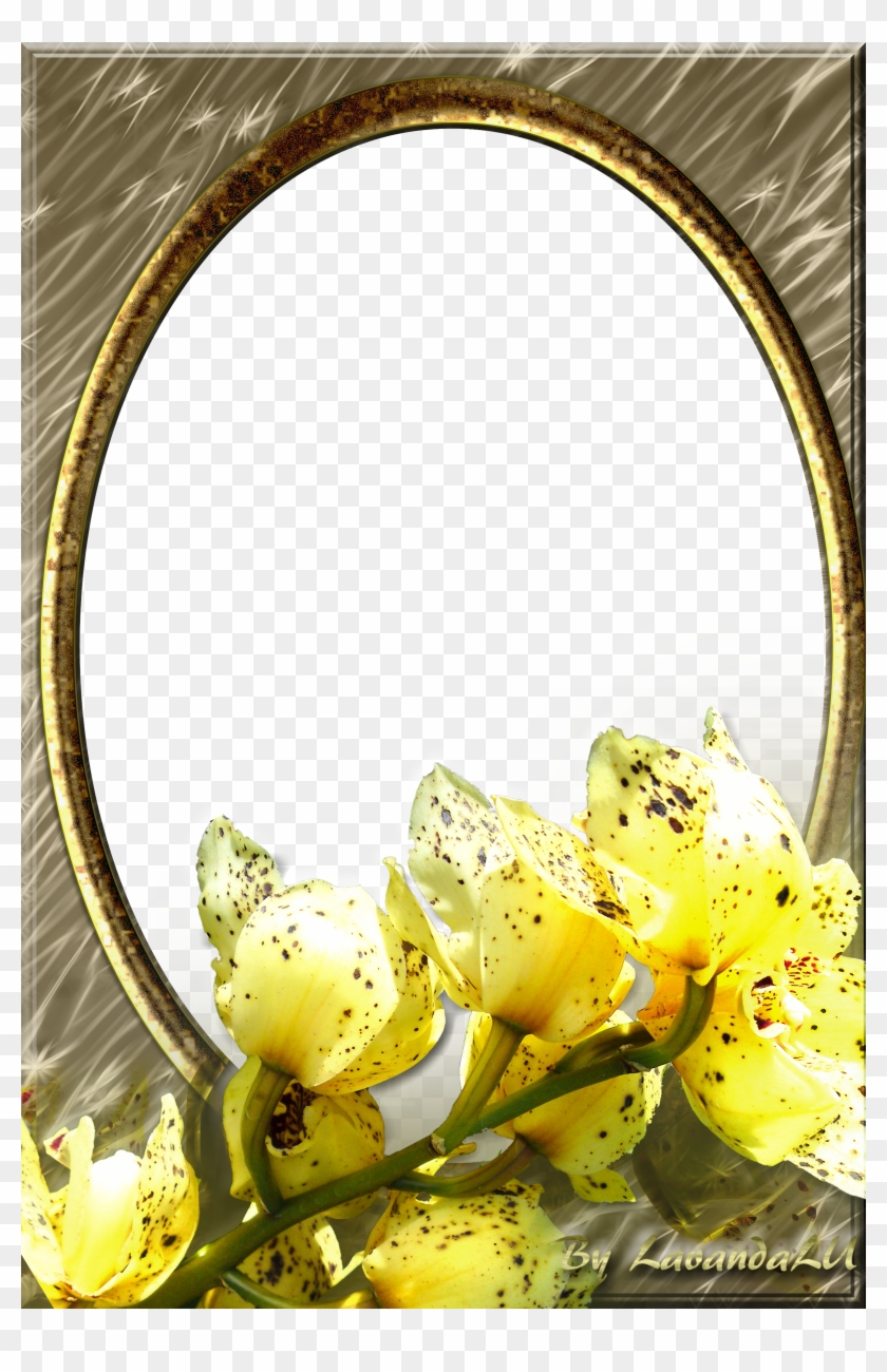 Cute Christmas Png Photo Frame With Christmas Ornaments - Yellow Transparent Frame Png #1143771