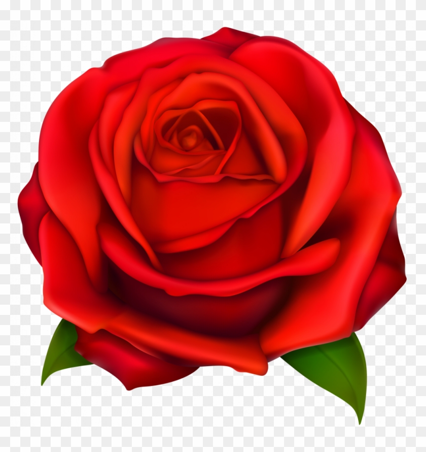 Bold Design Ideas Rose Clip Art Image Of Red 2 Roses - Rose Clip Art Png #1143806