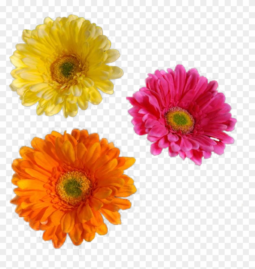 Flower - Flower Cut Out Png #1143960